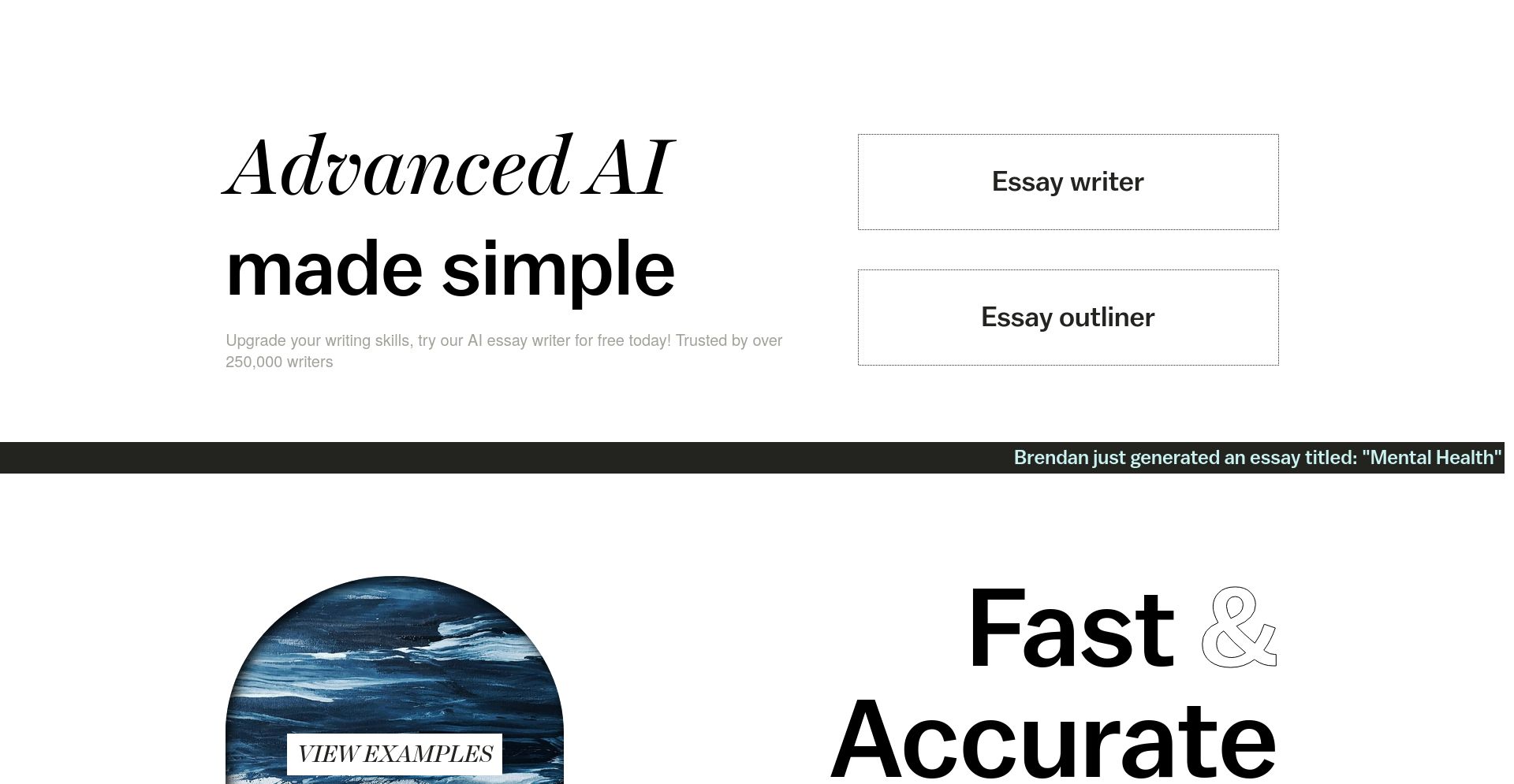 AI Essay Writer - website homepage screenshot