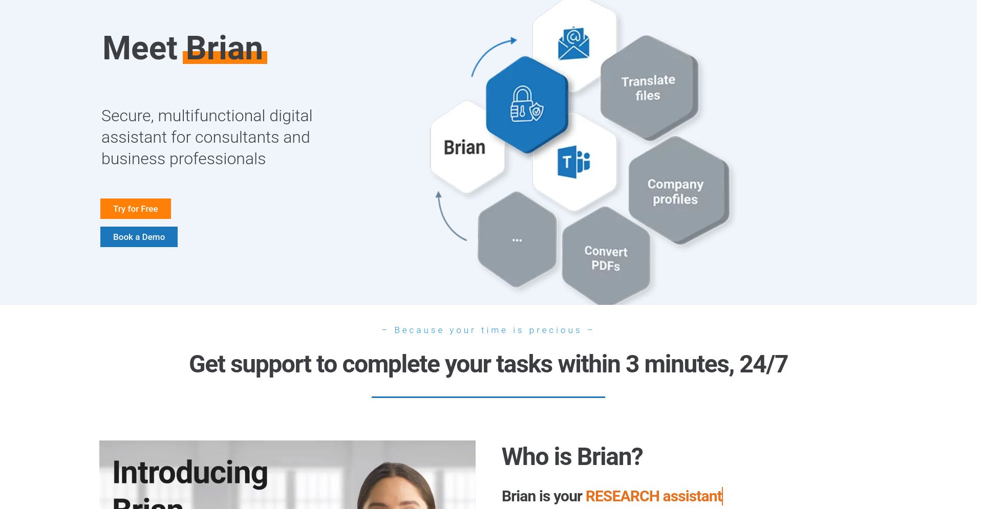 AskBrian - website homepage screenshot