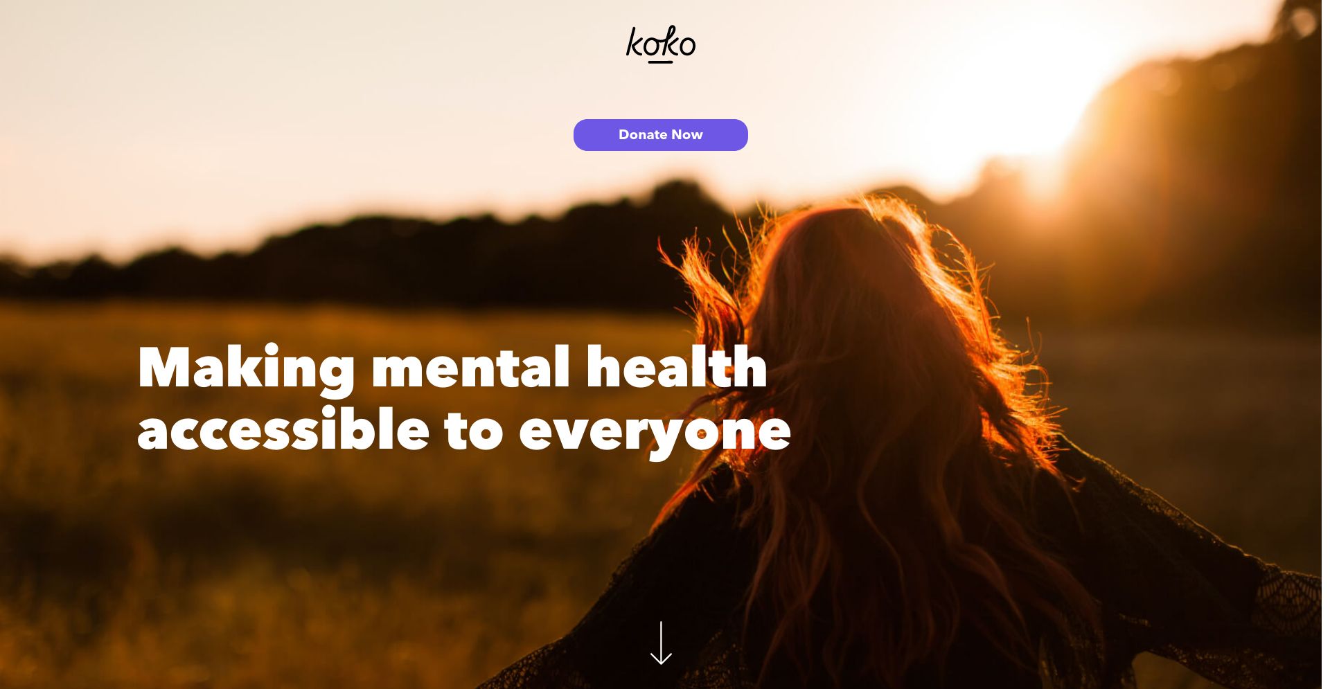 Koko - website homepage screenshot